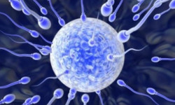 Влияние простатита на качество спермы